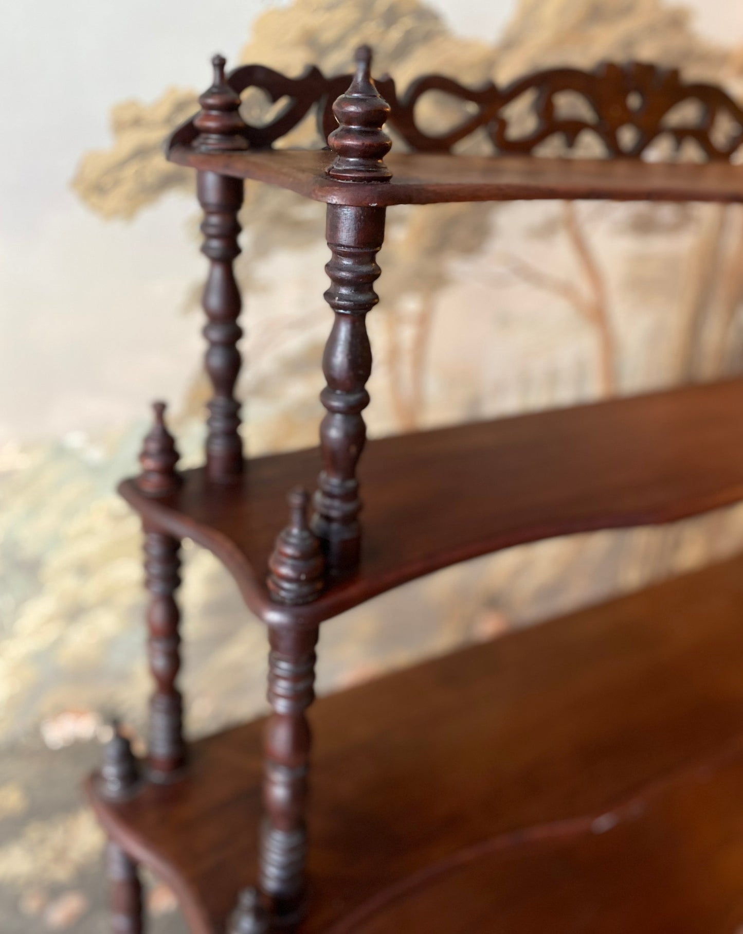 Mahogany Victorian Shelves