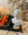 Emperor Napoleon Porcelain Bust