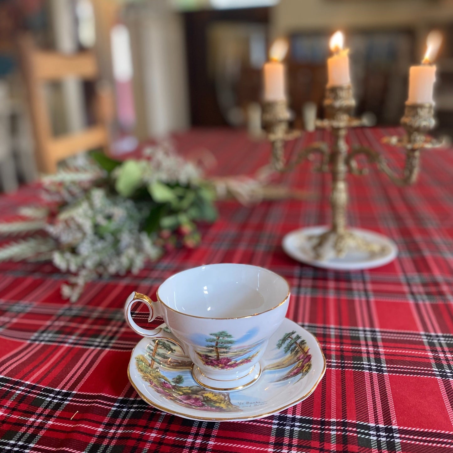 Ye Banks and Braes Fine Bone China England Teacup & Saucer