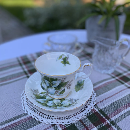 Royal Albert Bone China England Teacup & Saucer