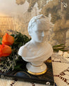Emperor Napoleon Porcelain Bust