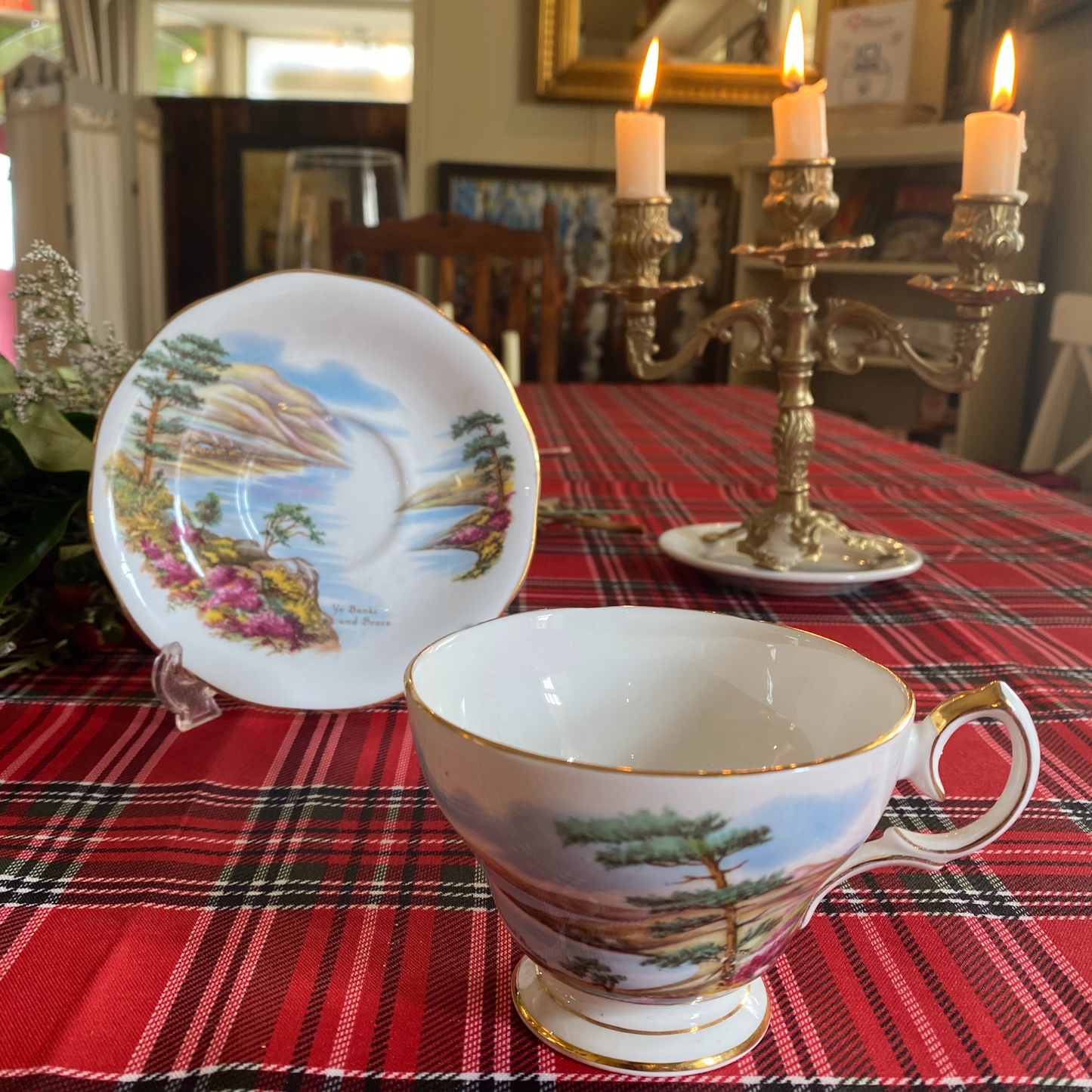 Ye Banks and Braes Fine Bone China England Teacup & Saucer