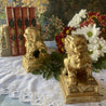 Golden Brass Chinese Fu Dogs