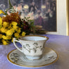 Rosenthal Bavaria Porcelain Teacup & Saucer